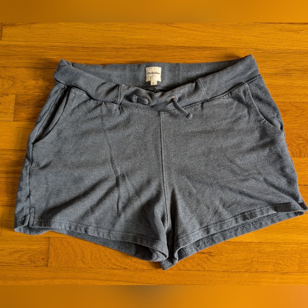 MeUndies Blue Drawstring Shorts | Women's L